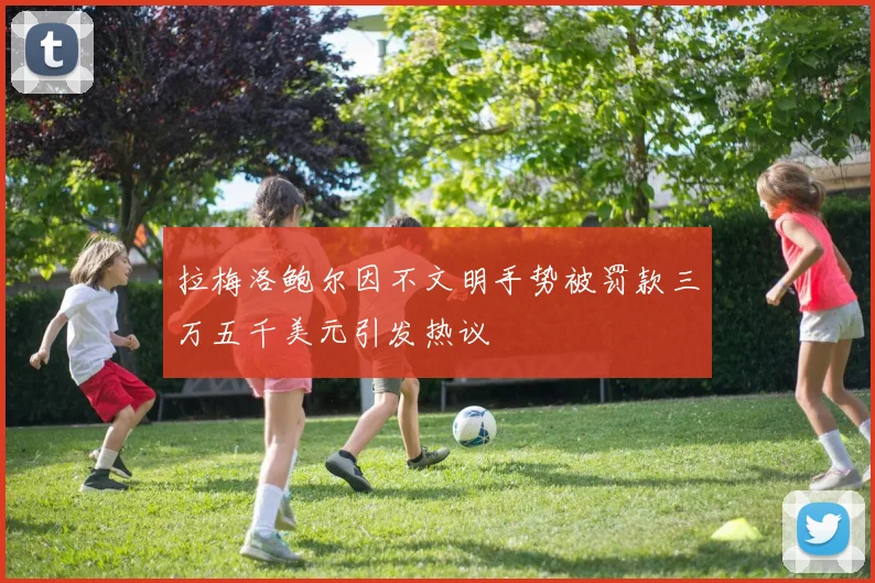 拉梅洛鲍尔因不文明手势被罚款三万五千美元引发热议