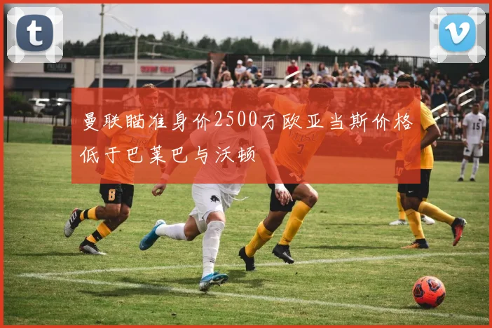 曼联瞄准身价2500万欧亚当斯价格低于巴莱巴与沃顿