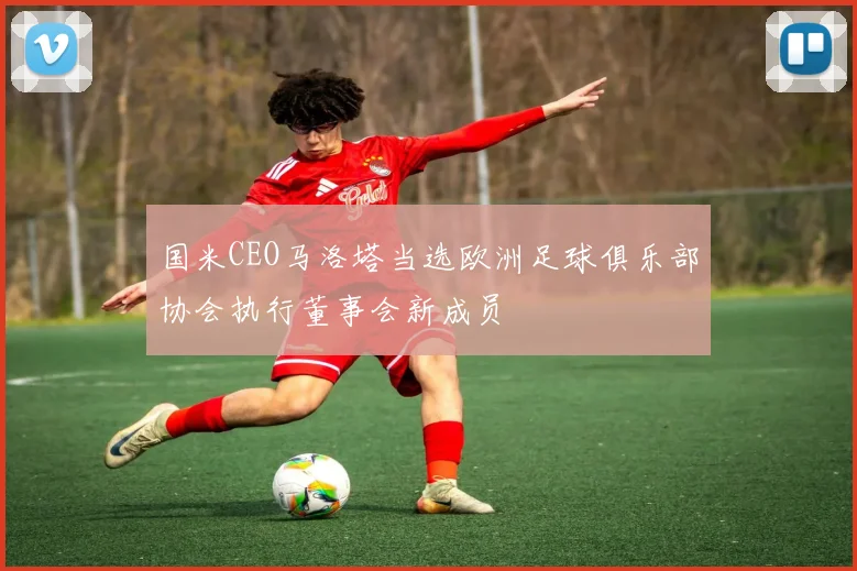 国米CEO马洛塔当选欧洲足球俱乐部协会执行董事会新成员