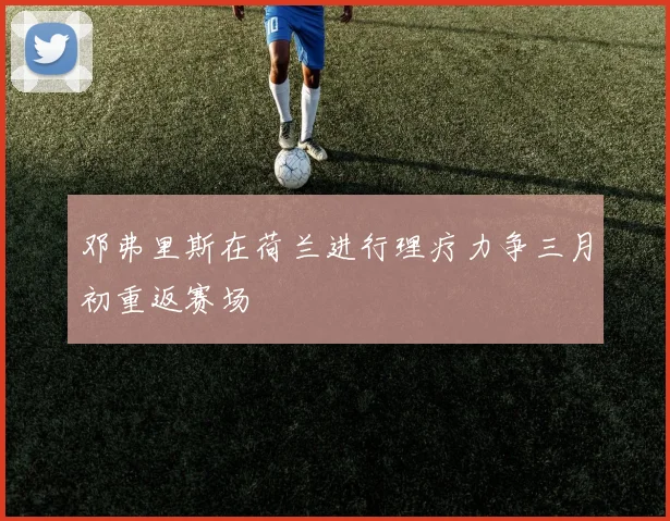 邓弗里斯在荷兰进行理疗力争三月初重返赛场